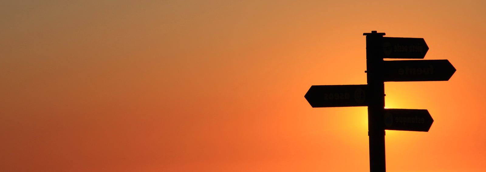 What is Art Direction & Production Design?