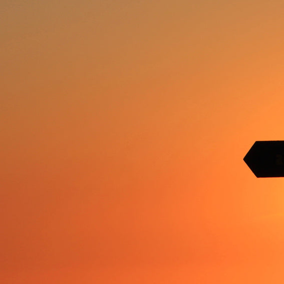 What is Art Direction & Production Design?